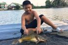 Yellow Catfish