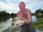 Yellow Catfish