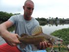 Yellow Catfish