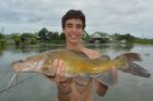 Yellow Catfish