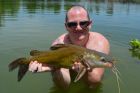 Yellow Catfish