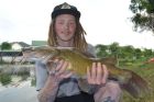 Yellow Catfish