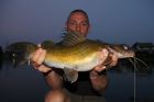 Yellow Catfish