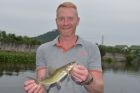 Yellow Catfish