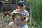 Yellow Catfish