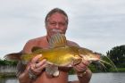Yellow Catfish