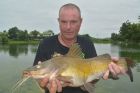 Yellow Catfish
