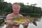 Yellow Catfish