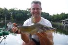 Yellow Catfish