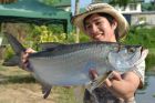 Tarpon