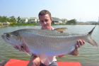 Tarpon