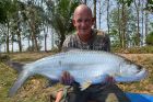 Tarpon