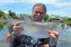 Tarpon