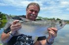 Tarpon