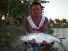 Tarpon