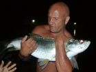Tarpon