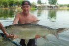 Tarpon