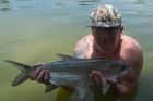 Tarpon