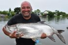Tarpon