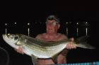 Tarpon