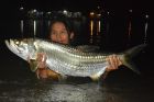 Tarpon