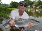 Tarpon