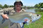 Tarpon