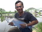Tarpon