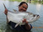 Tarpon
