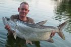 Tarpon