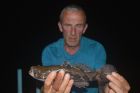 Marble Goby