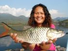 Eye Spot Barb