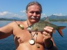 Eye Spot Barb