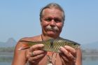 Eye Spot Barb