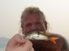Eye Spot Barb