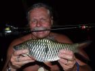 Eye Spot Barb