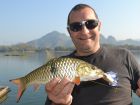 Eye Spot Barb