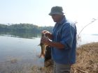 Eye Spot Barb