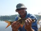 Eye Spot Barb