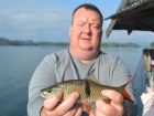 Eye Spot Barb
