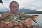 Eye Spot Barb