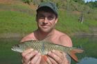 Eye Spot Barb