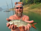 Hampala Barb