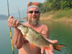 Hampala Barb