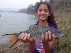 Hampala Barb