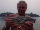 Hampala Barb