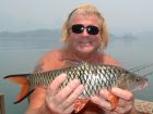 Hampala Barb