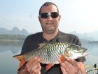 Hampala Barb
