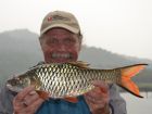 Hampala Barb