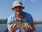 Hampala Barb